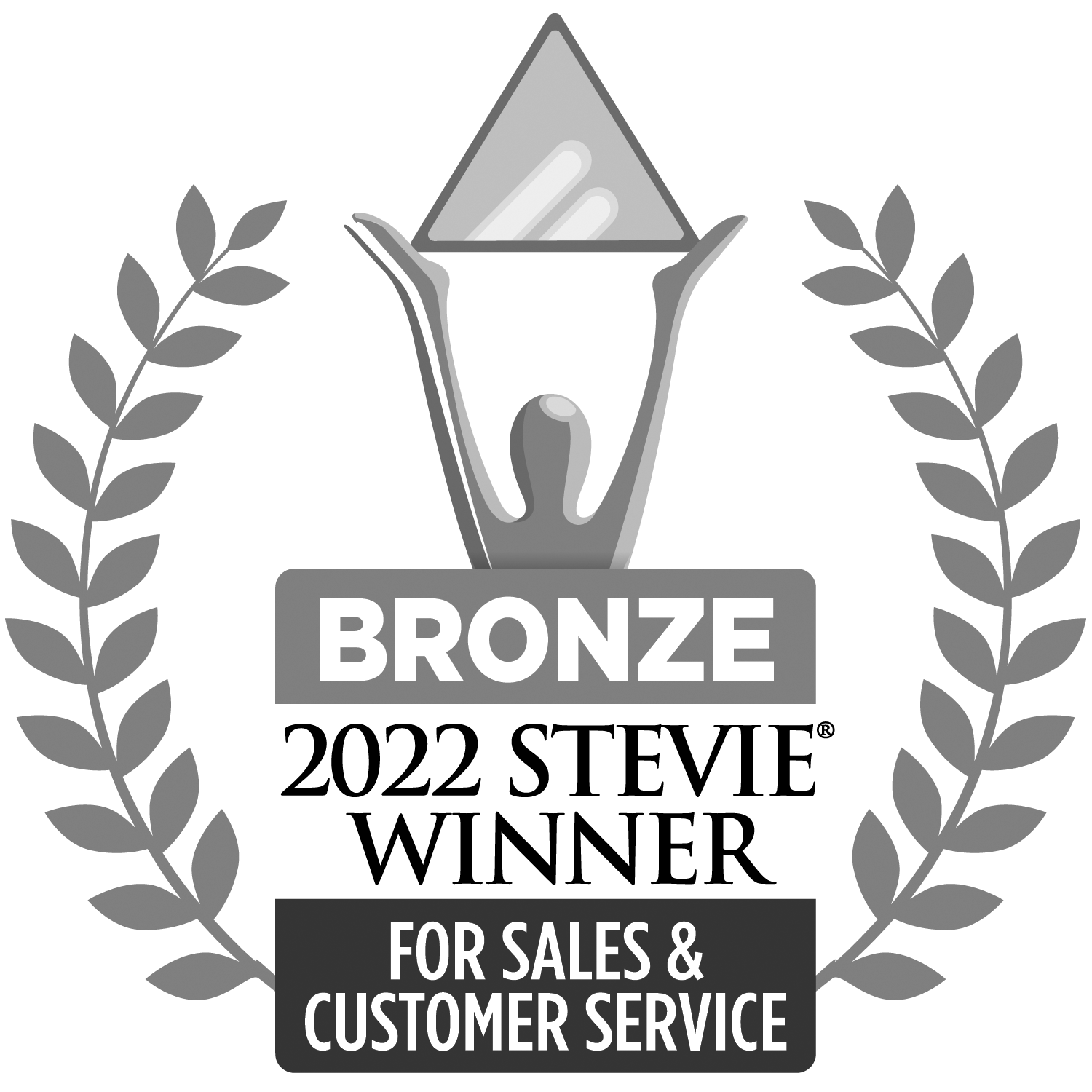 Bronze Stevie Award for 2022